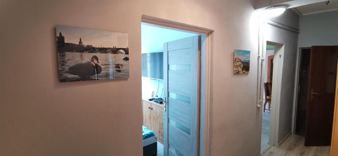 Apartament Milka W Dusznikach Zdroju Душники-Здруй Экстерьер фото